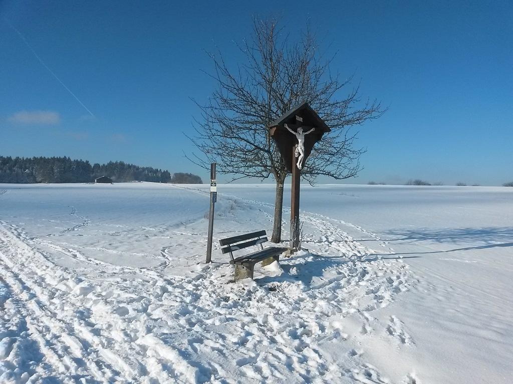 Ferienwohnung Am Kapellenacker Neumarkt in der Oberpfalz Exterior foto